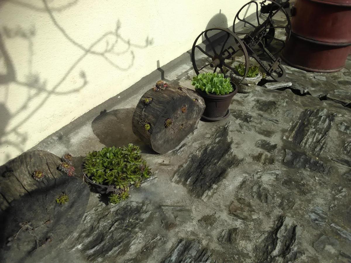 Apartmani Pinkum Veliko Gradište 外观 照片
