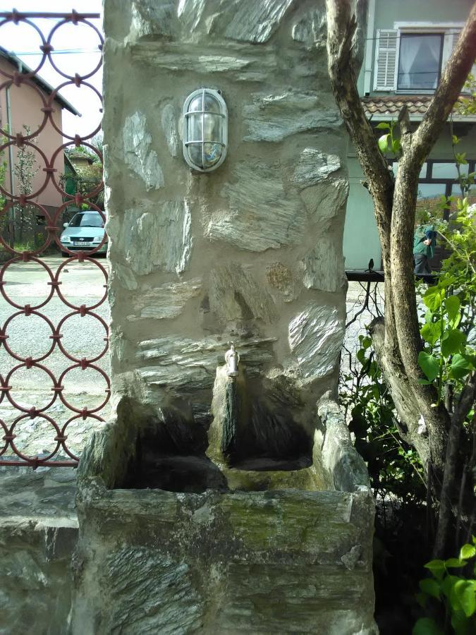Apartmani Pinkum Veliko Gradište 外观 照片