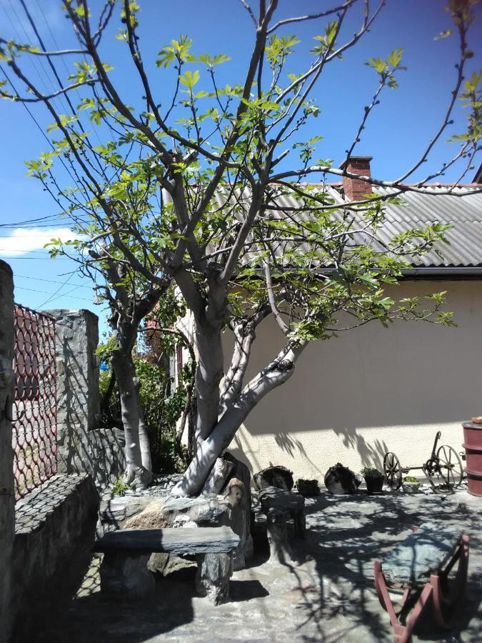 Apartmani Pinkum Veliko Gradište 外观 照片
